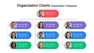 Organizational Chart Template