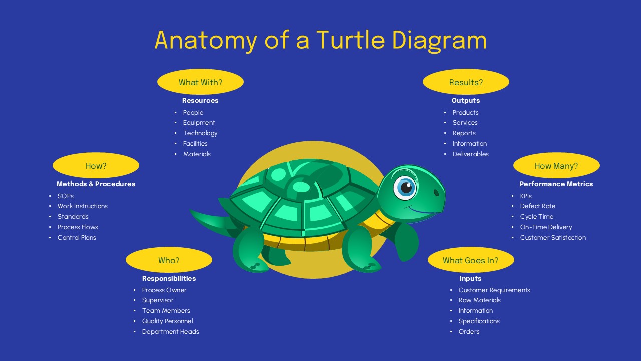 turtle anatomy diagram PPT slide
