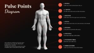 Pulse Points Diagram PowerPoint presentation template featuring a human body illustration with eight labeled pulse points, including temporal, carotid, brachial, radial, femoral, popliteal, posterior tibial, and dorsalis pedis, connected by callout lines and medical icons on a black and dark red gradient background.